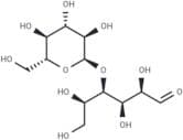 Maltose