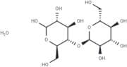 Maltose monohydrate