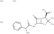 Ampicillin Trihydrate
