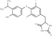 CO23