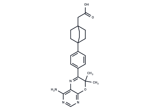 DGAT-1 inhibitor 2