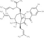Garcinol