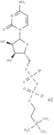 Citicoline sodium
