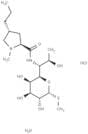 Lincomycin hydrochloride monohydrate