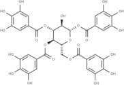 1,3,4,6-Tetragalloylglucose