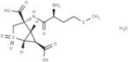 Pomaglumetad methionil