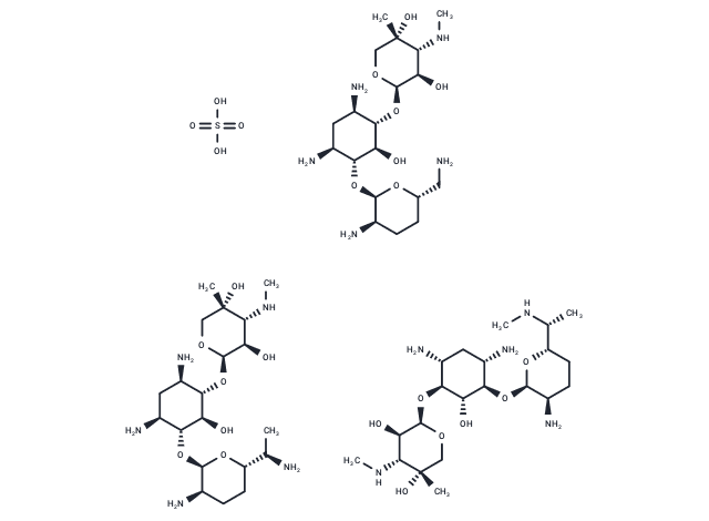 Gentamicin sulfate