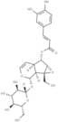 Verminoside