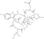 α-Amanitin