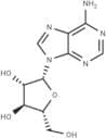 Vidarabine