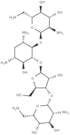 Framycetin