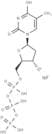 Deoxythymidine triphosphate