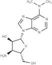 Puromycin aminonucleoside
