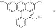 Rhodamine 123