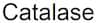 Catalase