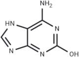 Isoguanine