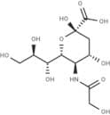 N-Glycolylneuraminic acid