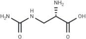 L-Albizziin