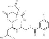 MLN9708 analogues