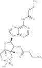 Bucladesine