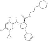 Hsp90-IN-38