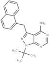 1-NM-PP1