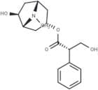 Anisodamine