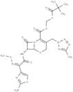 Cefteram pivoxil