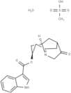 Dolasetron Mesylate