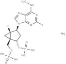 MRS2500 tetraammonium