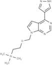 INCB032304