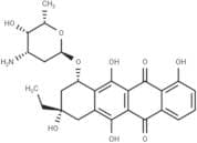 13-Deoxycarminomycin