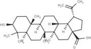 Betulinic acid