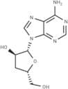 Cordycepin
