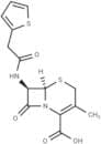 Deacetoxycephalothin