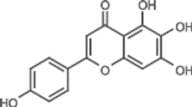 Scutellarein