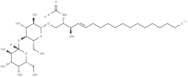 Lactosylceramides (bovine buttermilk)