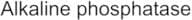 Alkaline Phosphatase