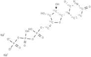 Uridine triphosphate 13C9,15N2 sodium