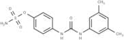 CAIX Inhibitor S4