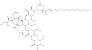 Ganglioside GM1 Mixture (ovine) (ammonium salt)
