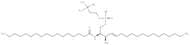C17 Sphingomyelin (d18:1/17:0)