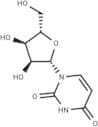 L-Uridine