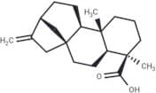 Kaurenoic acid