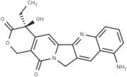 9-amino-CPT