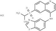 GSK872 HCl(1346546-69-7 free base)