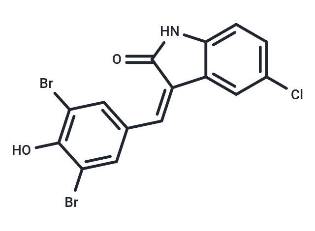 Raf inhibitor 2