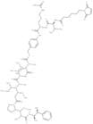 VCMMAE