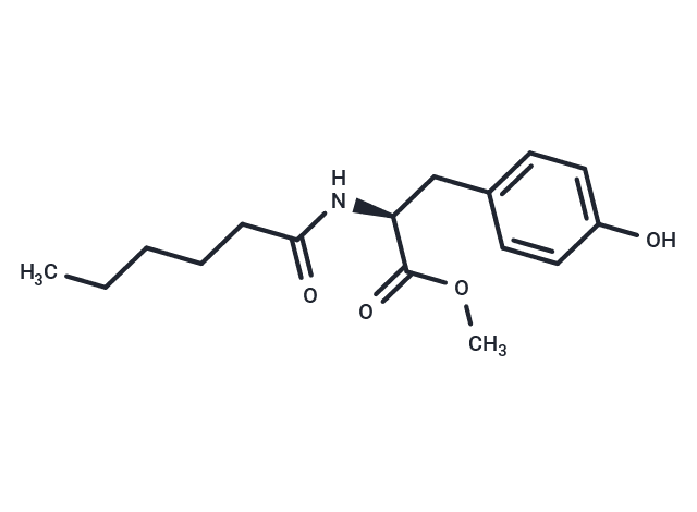 MHP
