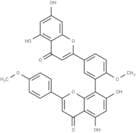 ISOGINKGETIN